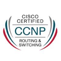 CCNP Routing and Switching_2